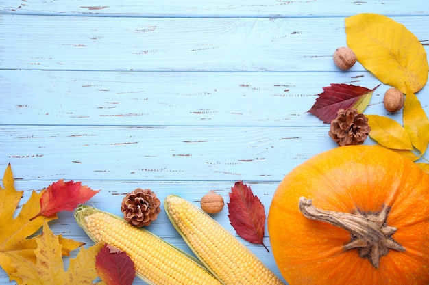 Orange pumpkin with leaves and vegetables on blue