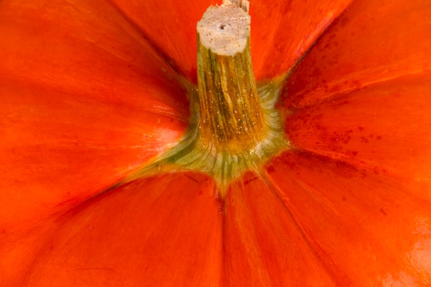 Orange pumpkin with stem closeup Autumn background Thanksgiving Day