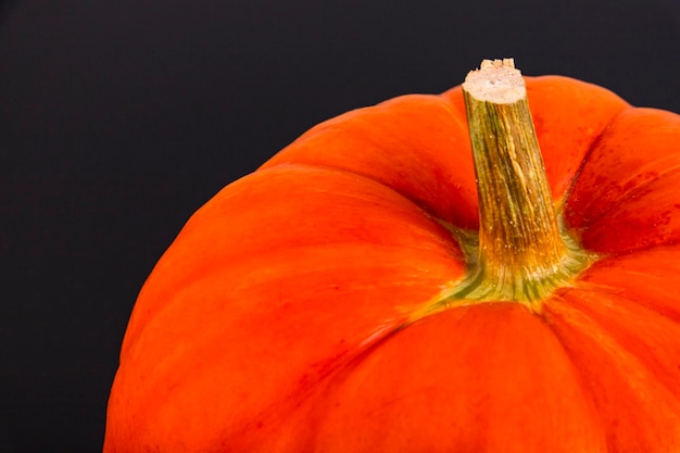 Orange pumpkin with a stem closeup on a black background Autumn background Copy space