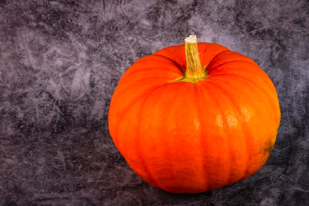 Orange pumpkin with a stem closeup on a gray grunge background Autumn background Copy space