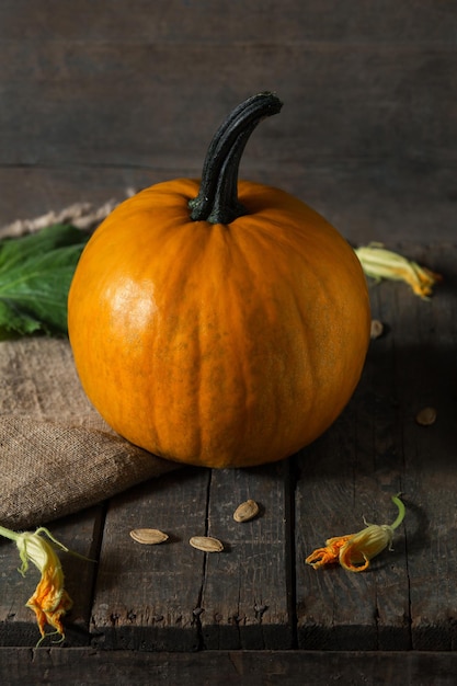 Orange pumpkin on wooden boards for halloween holiday Flowers seeds burlap