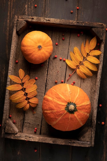 Orange pumpkin in a wooden box rustic background autumn harvest wooden table