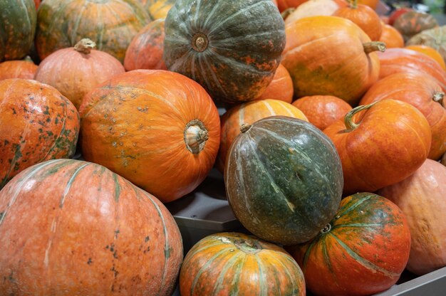 Orange pumpkins at farmer market