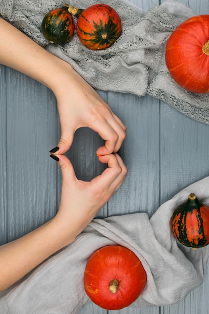 Orange pumpkins on a gray background Female hands with autumn manicure on a gray background with orange pumpkins View from above