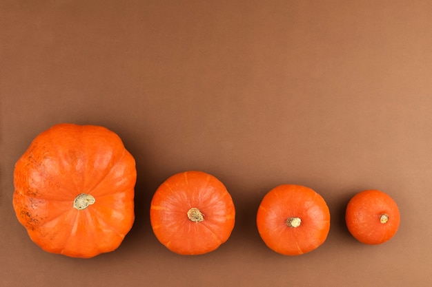 Orange pumpkins lie in a row on a brown background in size