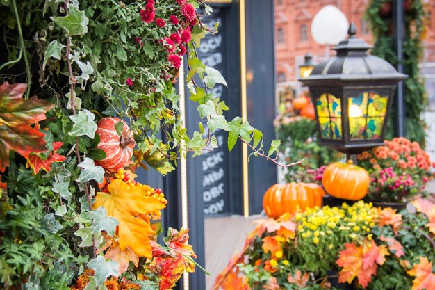 Orange pumpkins and retro forged lantern with maple leavesflowers and hawthorn berries in a pavilion