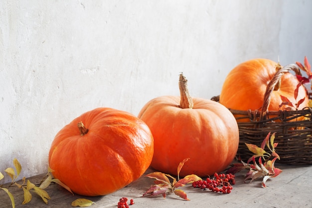 Orange pumpkins on wooden floor