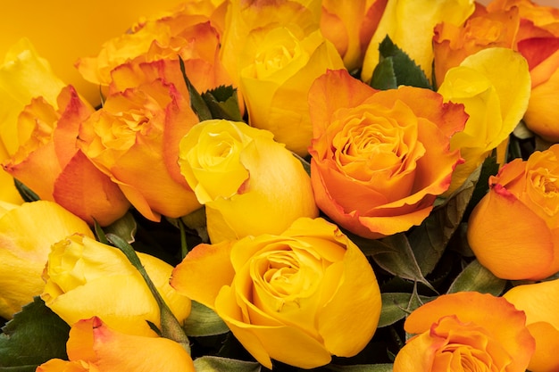 Orange roses close-up. floral background. bouquet of flowers. High quality photo