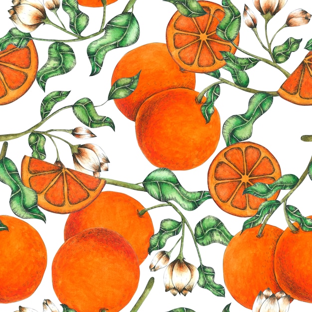 Orange Seamless Pattern Hand Pained in watercolor