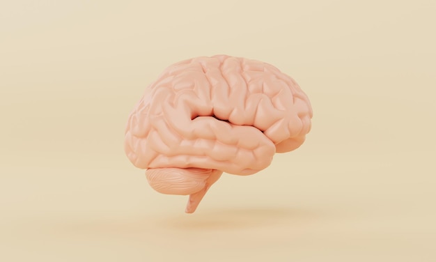 Orange simple mind brain model on yellow background Medical science healthcare