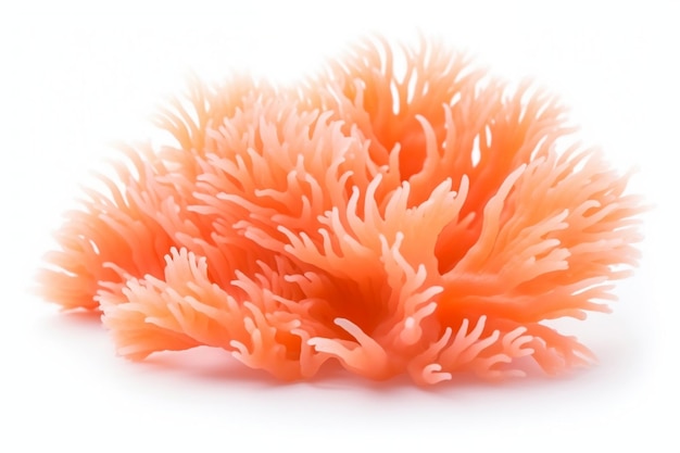 Orange Soft Coral Isolated on White Background Generative AI