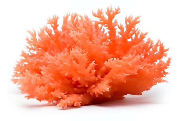 Orange Soft Coral Isolated on White Background Generative AI