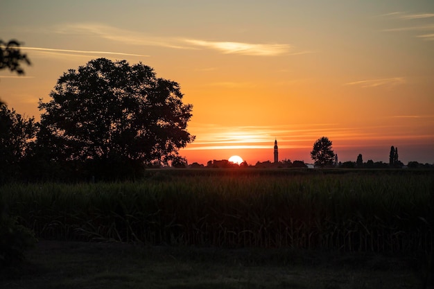 Orange sunset landscape country field