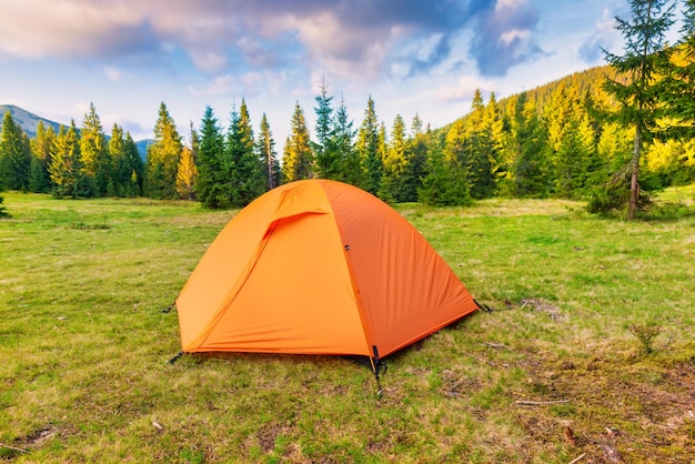 Orange tent camp in green forest