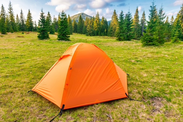 Orange tent camp in green forest