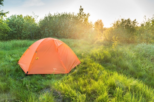 Orange tent camping at sunset in forest and green grass field and sun rays