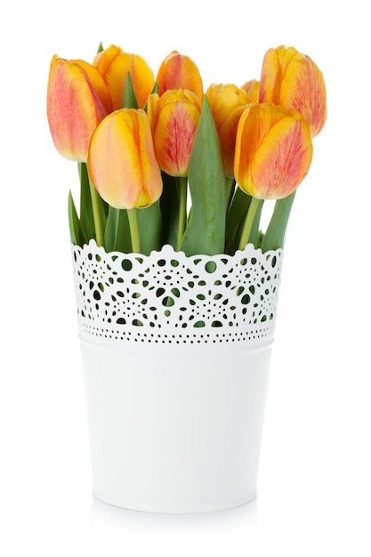 Orange tulips in flowerpot