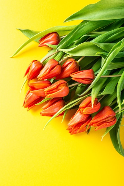 Orange tulips over yellow surface, Easter. Birthday, mother day greeting card concept with copy space. Top view, flat lay