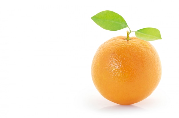 Orange  on white background