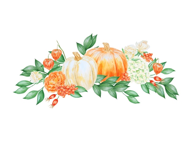 Orange and white pumpkins roses hydrangea rowan berries and rose hips hand drawn watercolor isolated