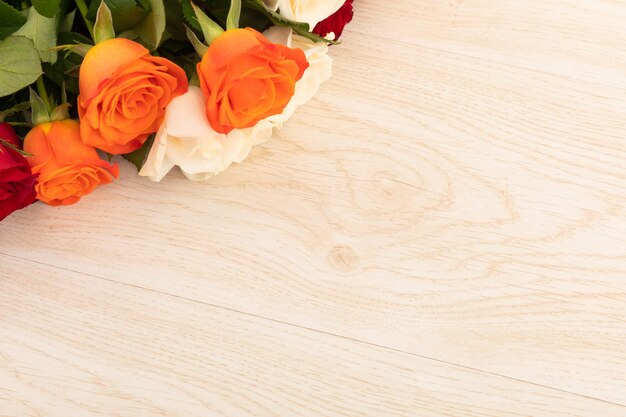 Orange and white roses in top left corner on wooden background. celebration romance flower spring nature freshness copy space.