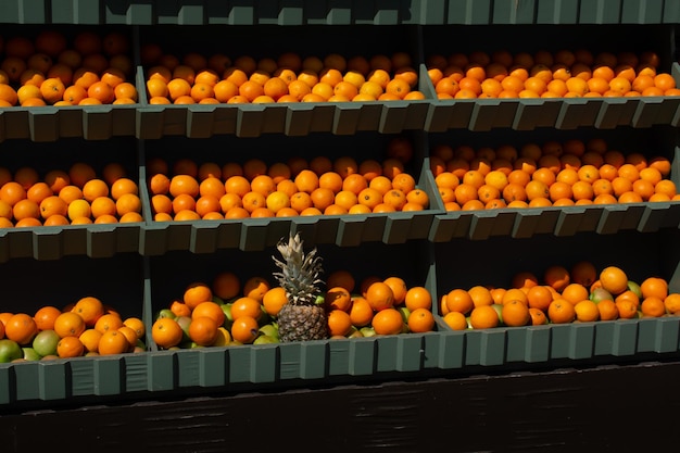 Oranges background Fresh oranges variety grown in the shop Oranges for juice strudel