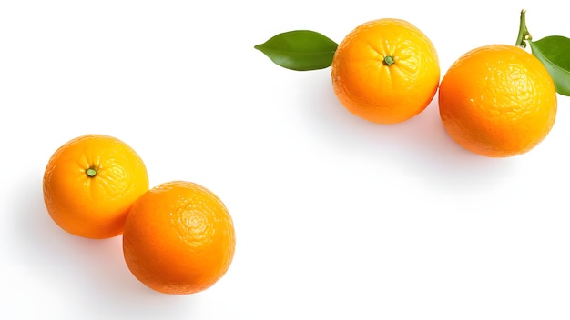 Oranges on white background with shadow