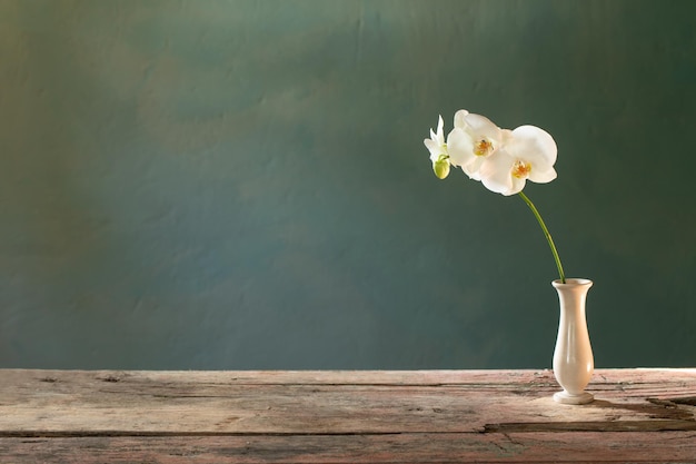 Orchid flowers in vase on blue background