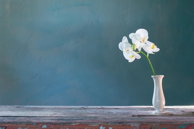 Orchid flowers in vase on green background