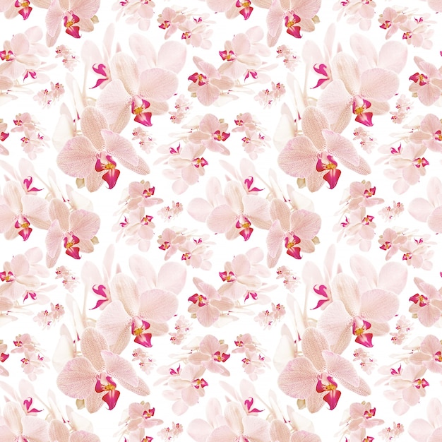 Orchid seamless pattern. Can be used as fabric, wallpaper, wrapper.