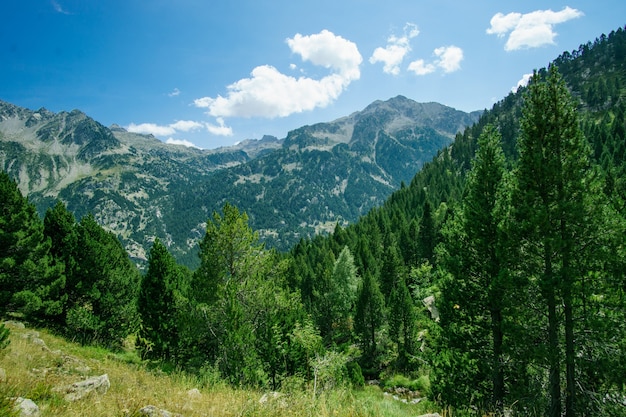 Ordesa National Park, Pyrenees, Huesca, Aragon, Spain