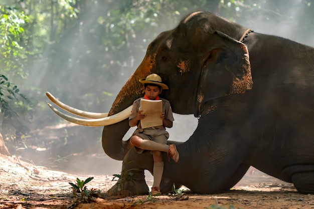 An ordinary boy scout reading a book on the thai elephant trunk .