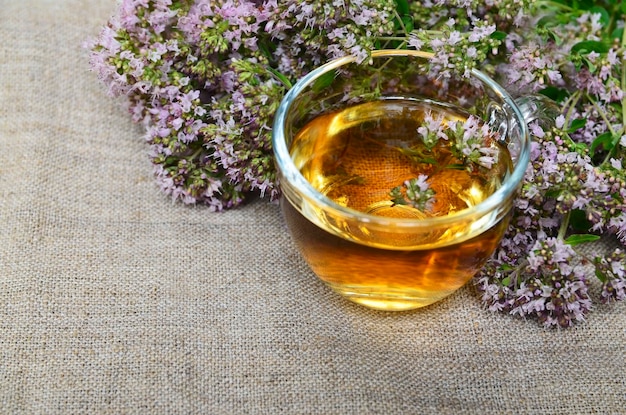 Oregano tea in a glass cup with fresh blooming herb twigs on a wooden backgroundHealthy drink