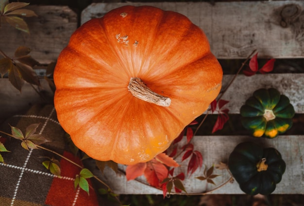 Organic autumn decor harvest of fresh vegetables and leaves in an old wooden box on a background of boards Free space top view