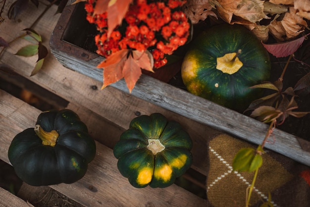 Organic autumn decor harvest of fresh vegetables and leaves in an old wooden box on a background of boards Free space top view