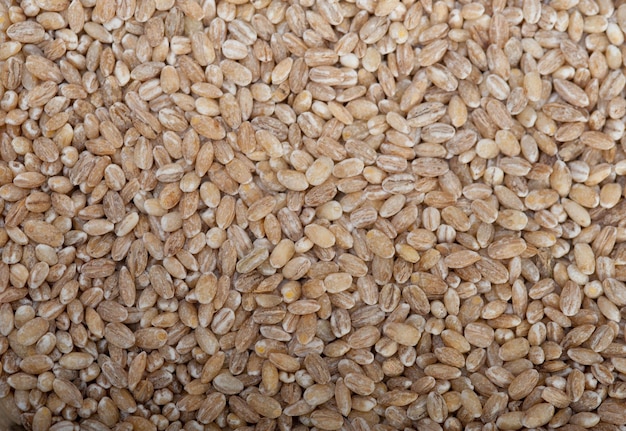 Organic barley grains