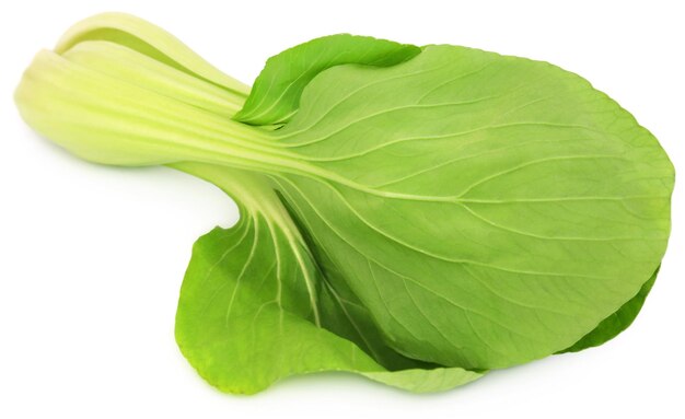 Organic Bok Choy over white background