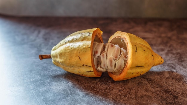 Organic Cocoa Fruit Of The Cocoa Tree