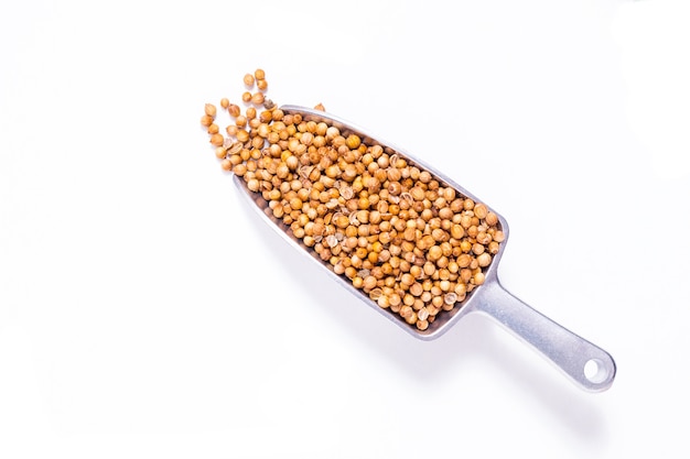 Organic coriander seeds in iron scoop on white background