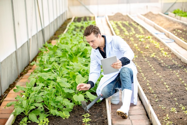 Organic Farmer Eco Agriculture researchers at smart organic farm Innovative agricultural technology