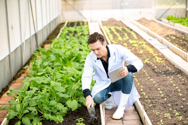 Organic Farmer Eco Agriculture researchers at smart organic farm Innovative agricultural technology