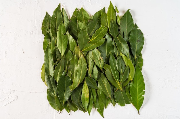 Organic food Bay leaf layout on wthite surface.