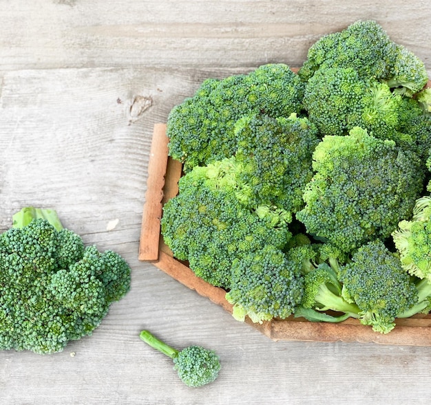 organic and fresh broccoli. product close-up