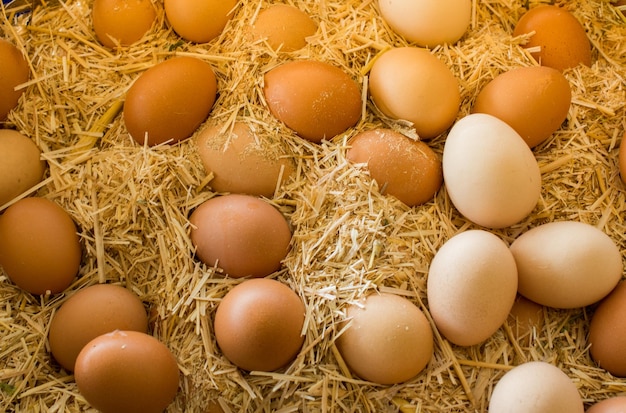 Organic fresh farm eggs at the market