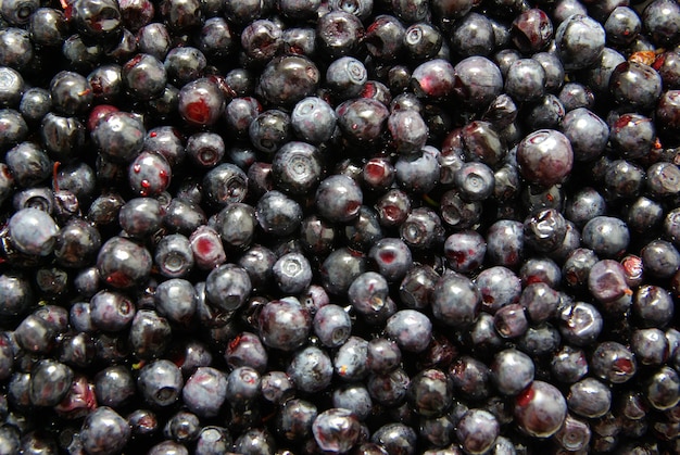 Organic fresh many blueberry background