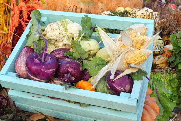 Organic fresh vegetable in wooden box on agricultural fair. Harvesting autumn time concept. Garden f