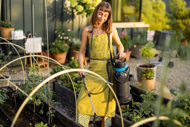 Photo organic gardening in raised beds