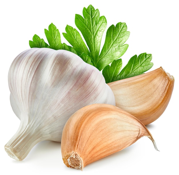 Organic garlic Fresh garlic with leaves isolated on white background Garlic with clipping path