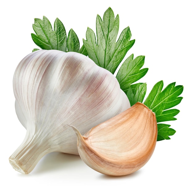 Organic garlic Fresh garlic with leaves isolated on white background Garlic with clipping path