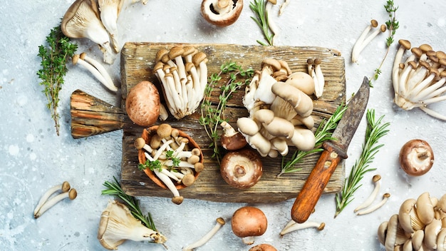 Organic Healthy Mushrooms Maitake Mushrooms Brown beech mushroom and champignons On a stone background